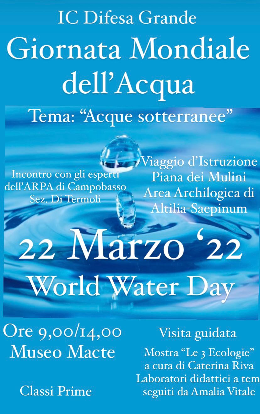 Scopri di più sull'articolo Giornata Mondiale dell’acqua